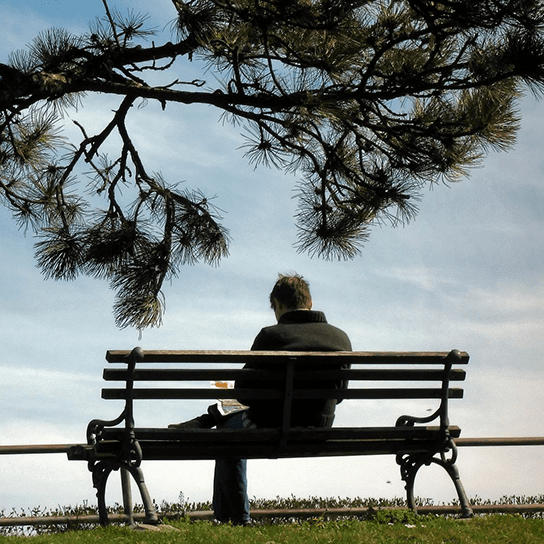 A man sitting on top of a bench under a tree.