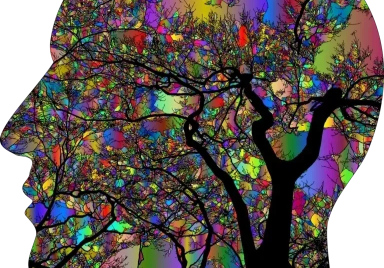 A tree with many colors of leaves on it.